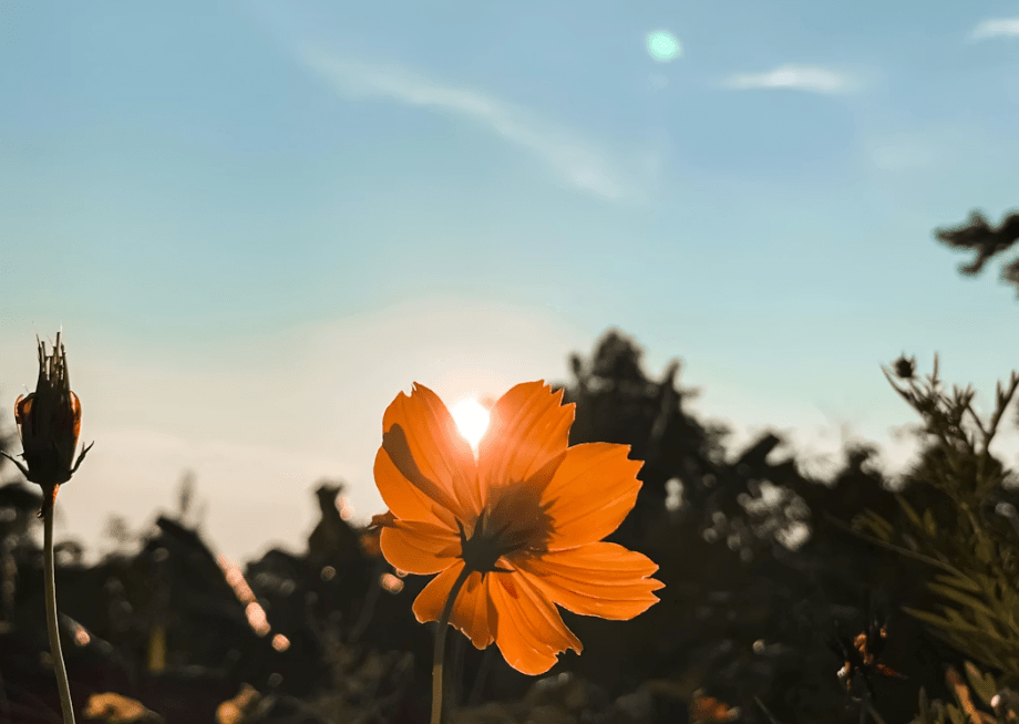 Your Nervous System Wasn’t Meant for This: Anxiety, Burnout, and the Stress of Modern&nbsp;Life